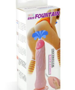 Fountain Dong Baile